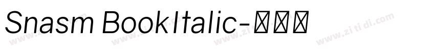 Snasm BookItalic字体转换